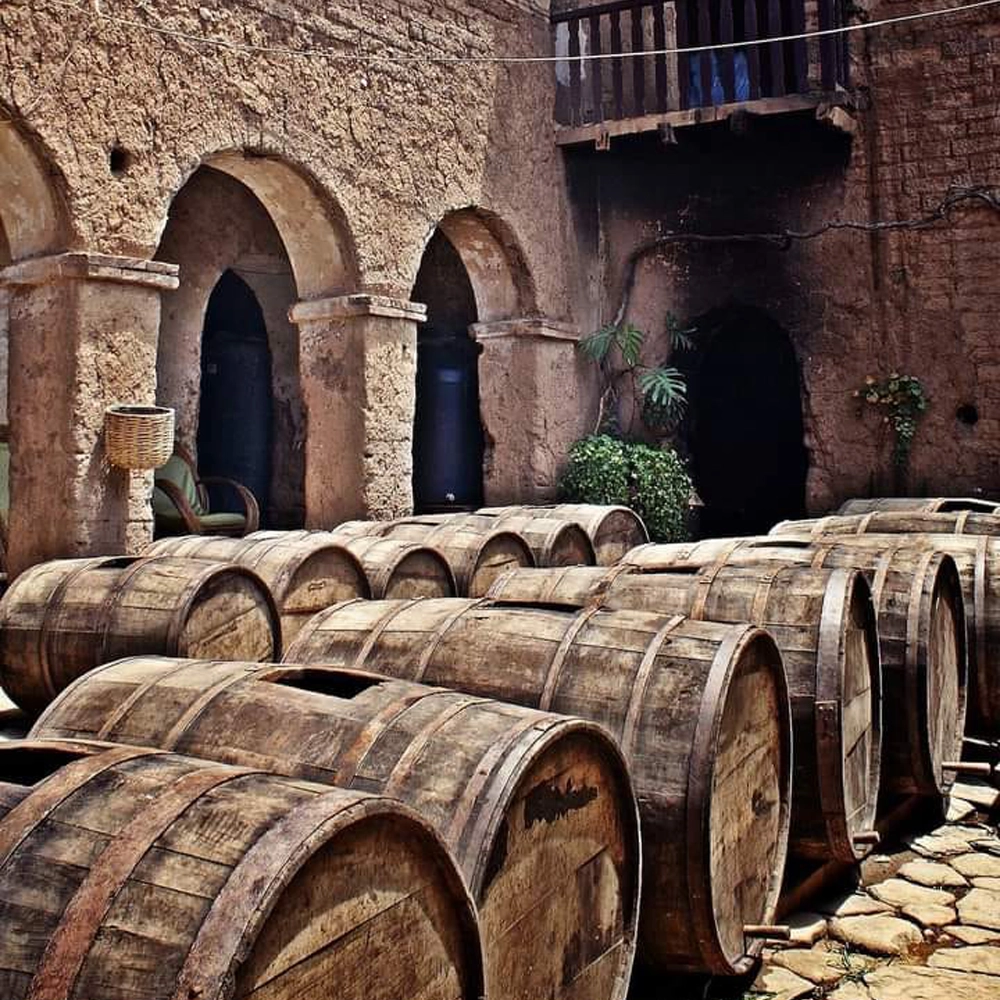 Tour de vinos 2