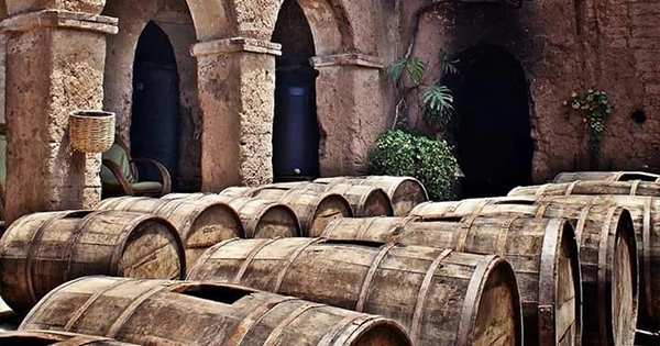 Tour de vinos - slide 1 - mobile