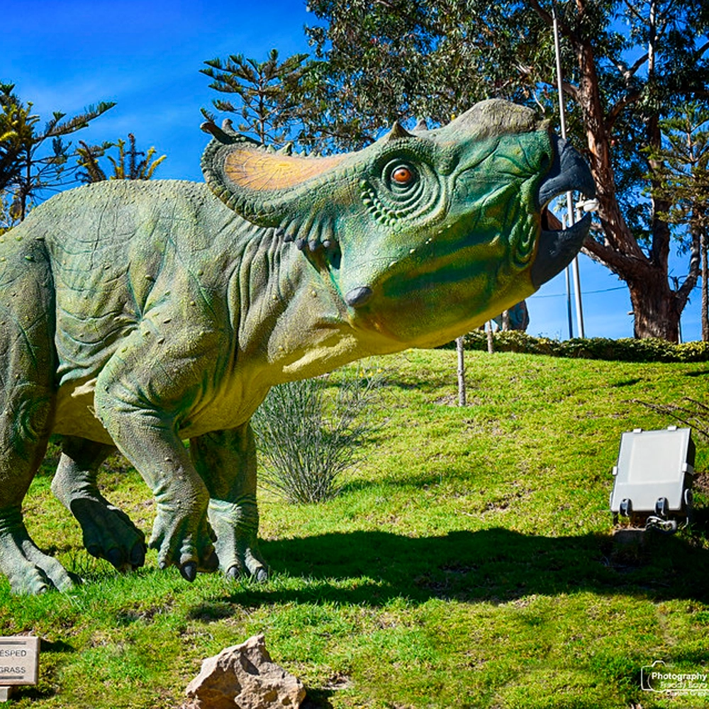 actividad 2 City Tour en Sucre (2er slide)