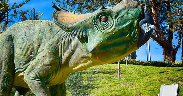 actividad city tour sucre-slide1-mobile