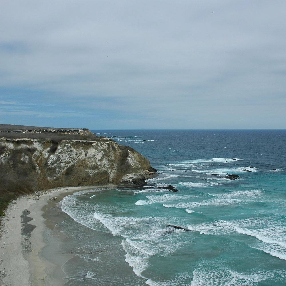 isla de la plata 2 - ecuador - desktop