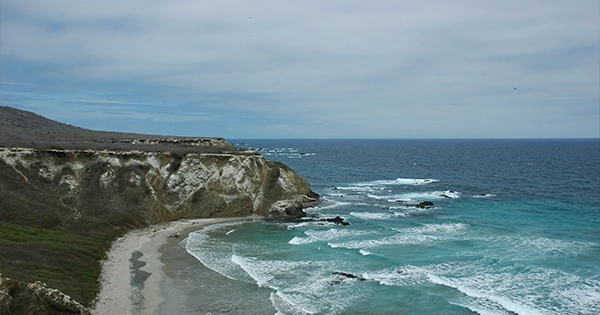 isla de la plata - ecuador - mobile